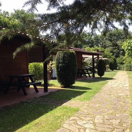 Camping Ecologic Lava Santa Pau Esterno foto